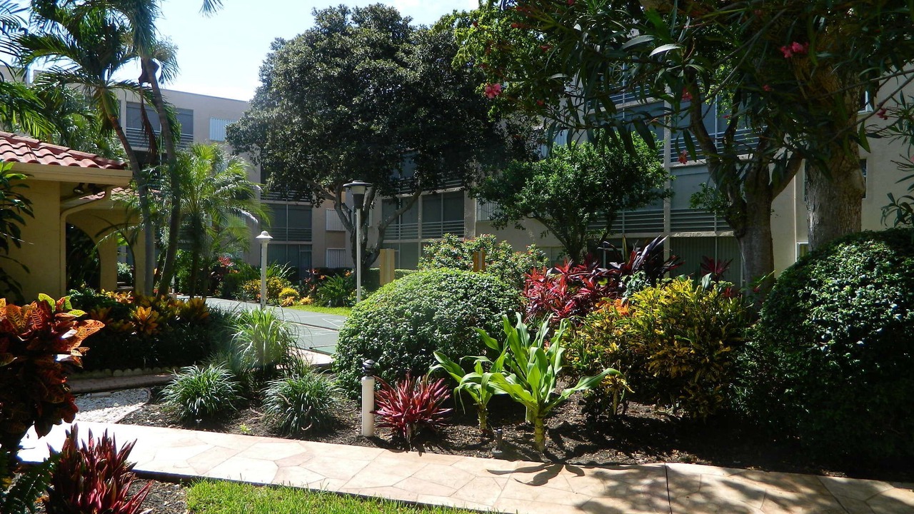 Photo of Outdoor in Bel Air
