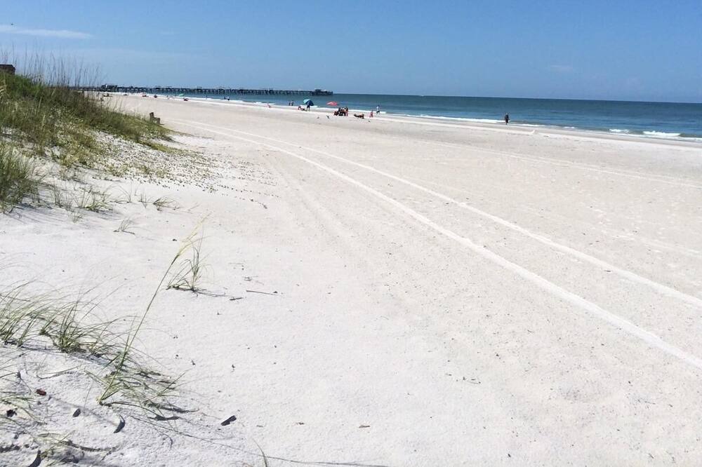 Photo of Others in Redington Shores