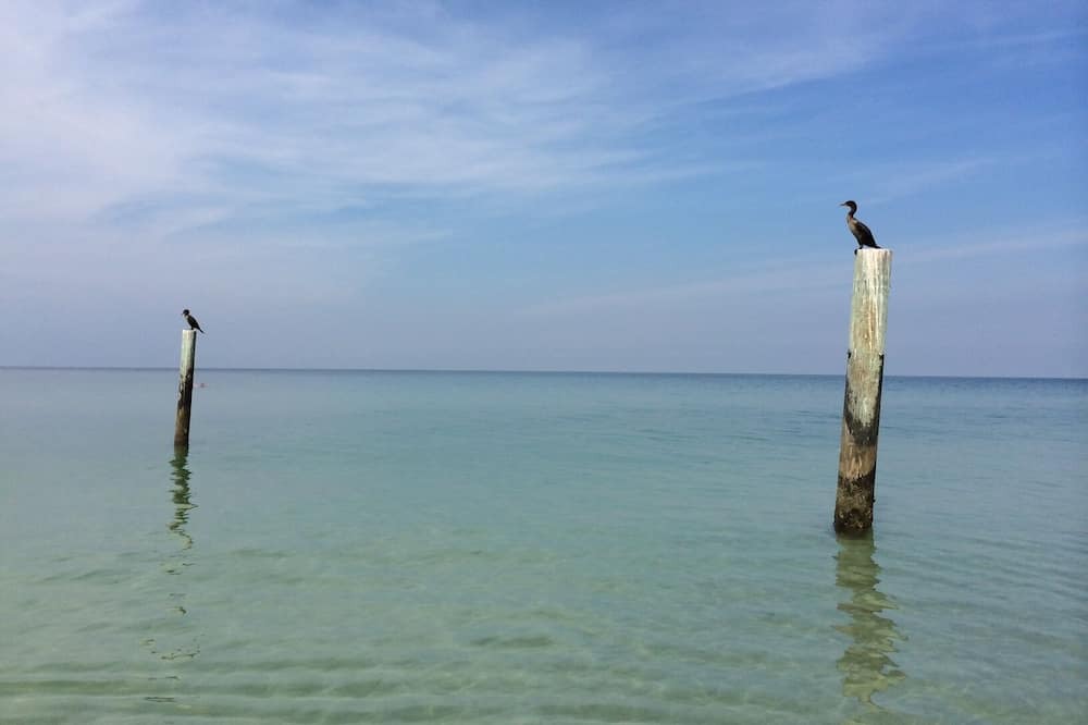 Photo of Others in Redington Shores