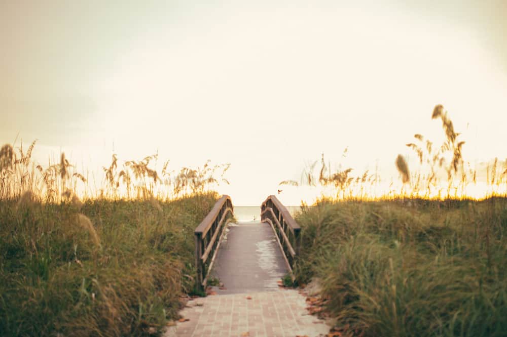 Photo of Outdoor in Redington Shores