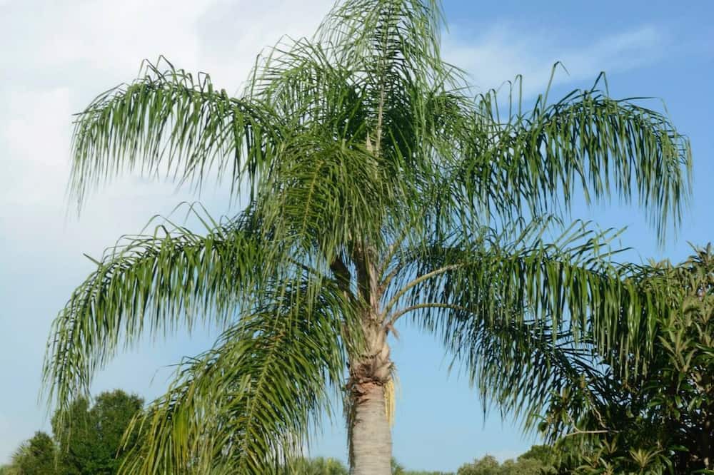 Photo of Outdoor in North Port