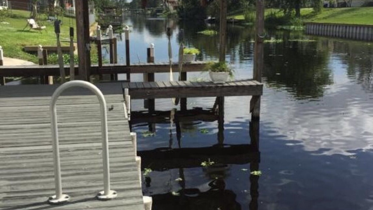 Photo of Others in Taylor Creek