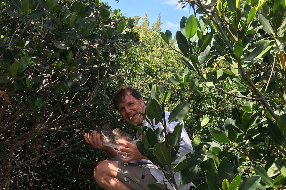 Photo of Outdoor in Old Homosassa