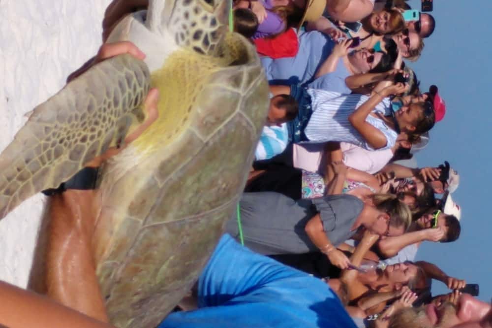 Photo of Others in Villa Segunda
