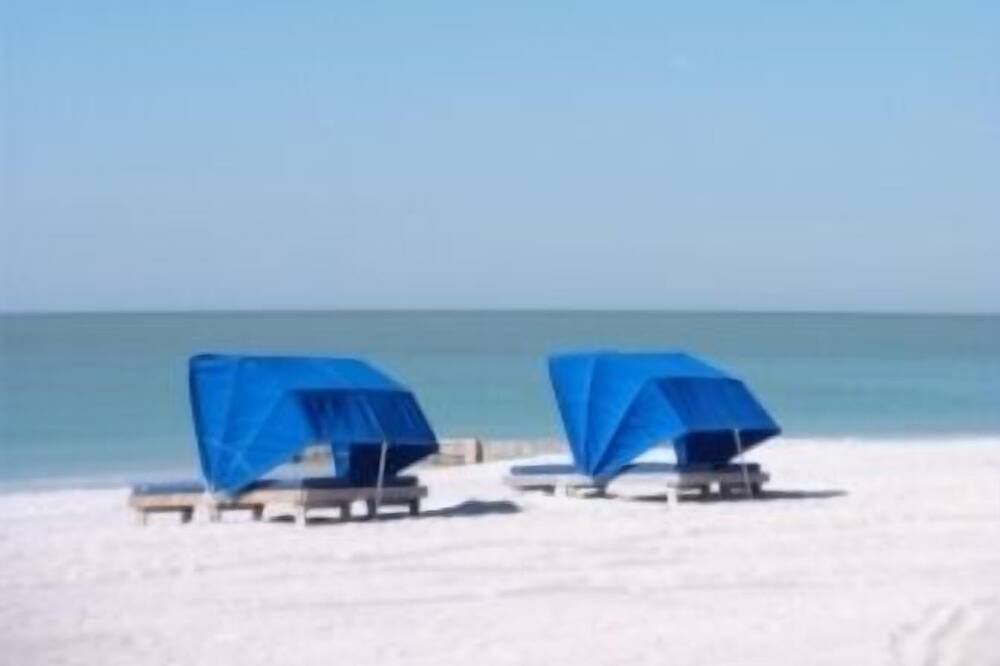 Photo of Outdoor in Madeira Beach