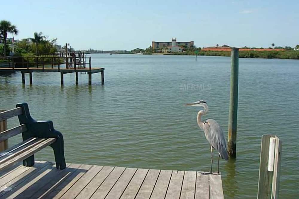 Photo of Outdoor in Indian Shores