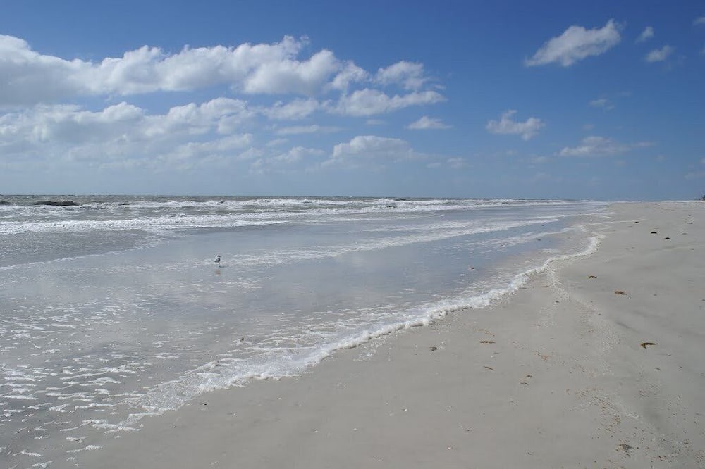 Photo of Outdoor in Indian Shores