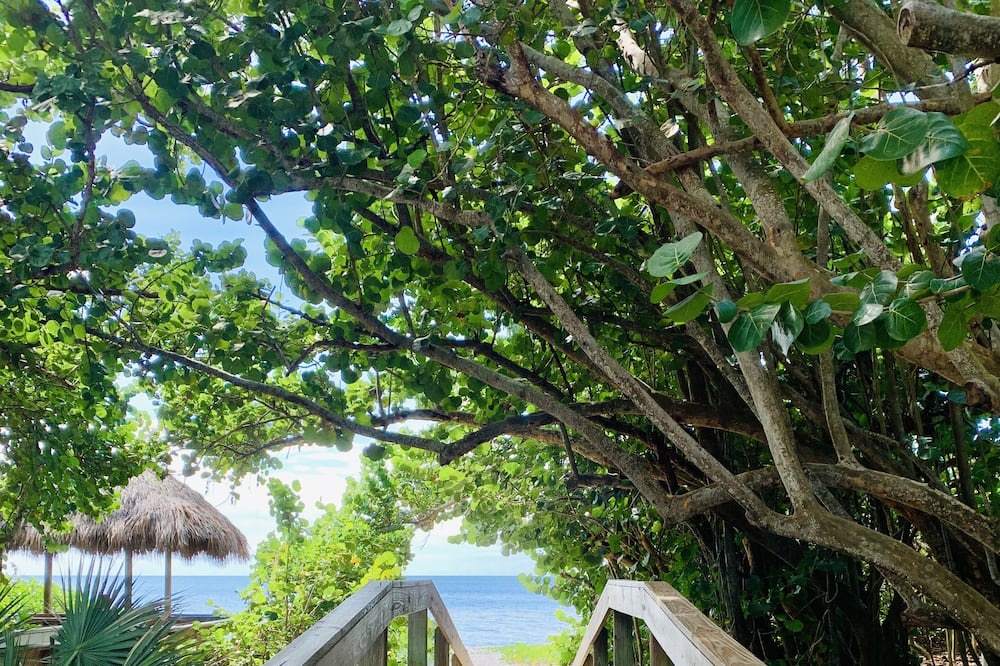Photo of Outdoor in Majestic Palms