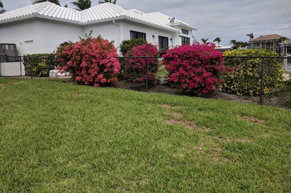 Photo of Outdoor in Marco Island
