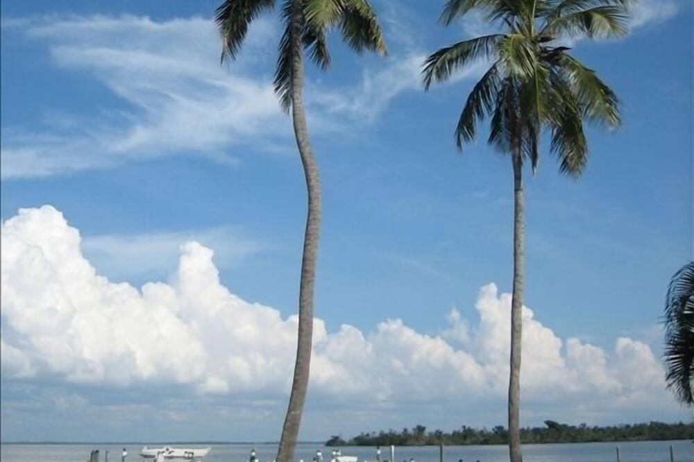 Photo of Others in Captiva