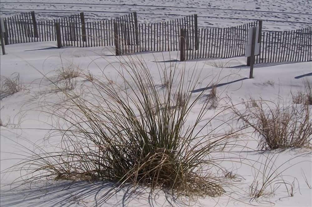 Photo of Outdoor in Miramar Beach