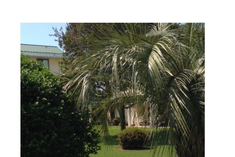 Photo of Patio Balcony in Miramar Beach