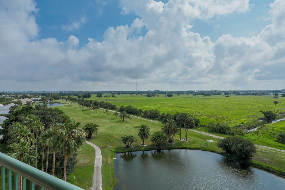 Photo of Others in Palmetto