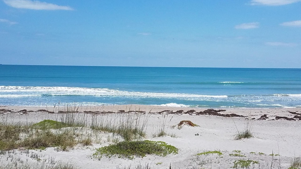 Photo of Others in Crescent Beach