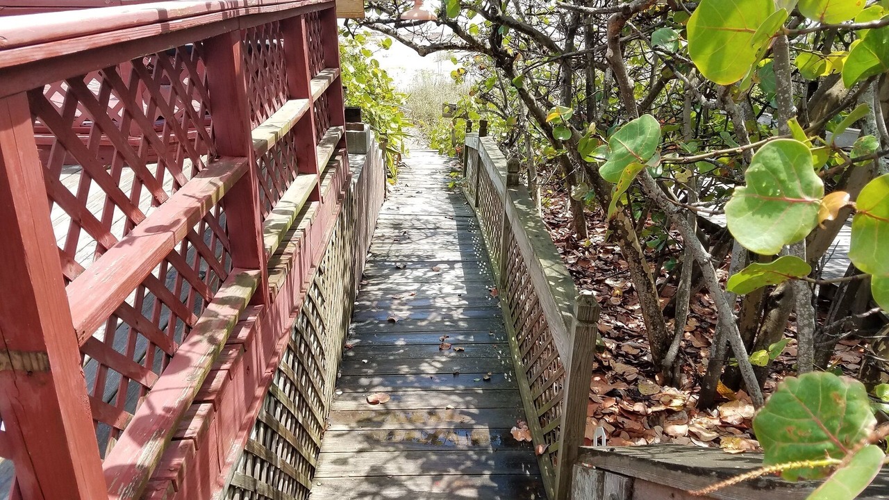 Photo of Outdoor in Crescent Beach