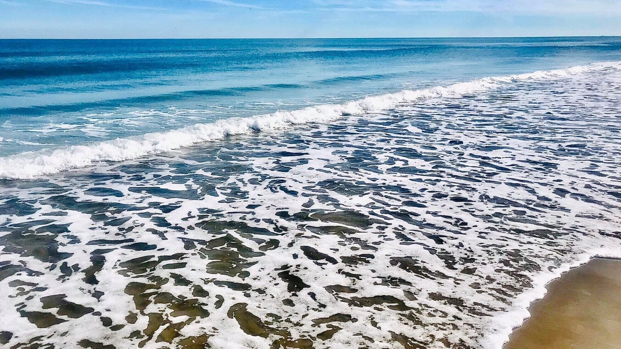 Photo of Others in Crescent Beach