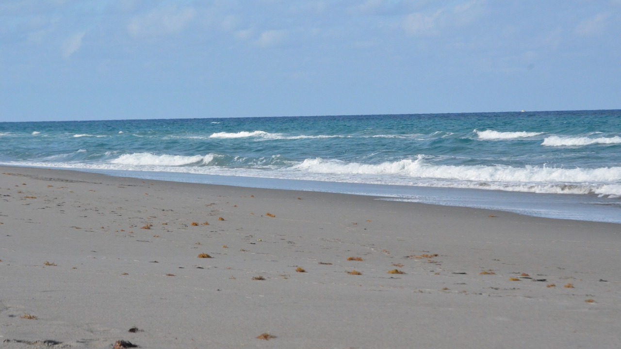 Photo of Others in Ocean Ridge