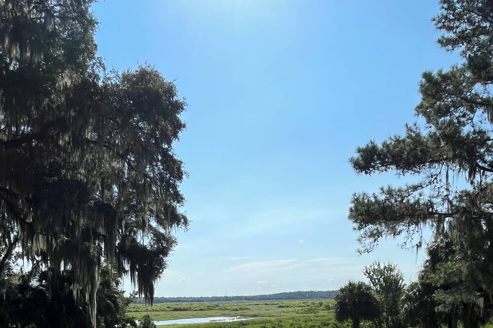 Photo of Outdoor in Micanopy