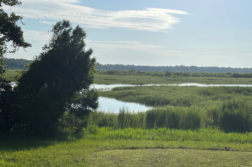Photo of Outdoor in Micanopy