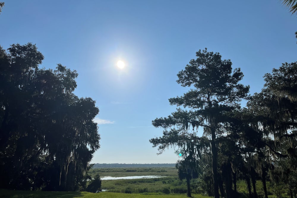 Photo of Others in Micanopy
