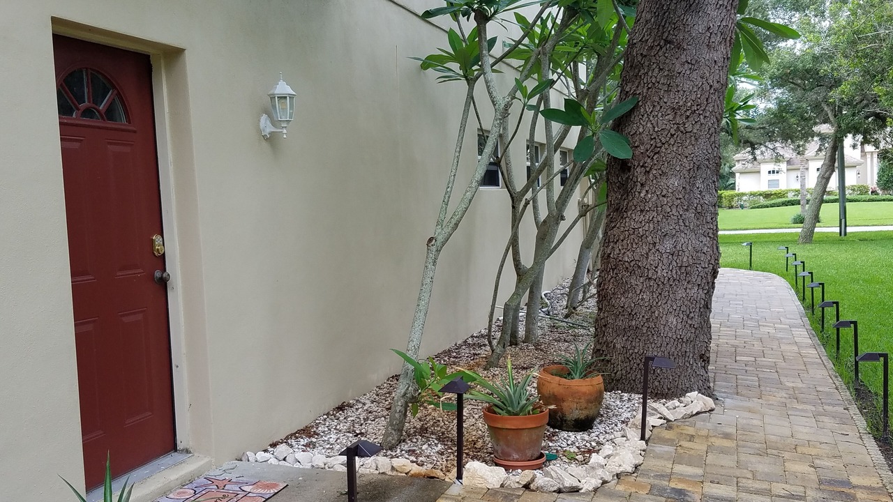 Photo of Outdoor in Tarpon Springs