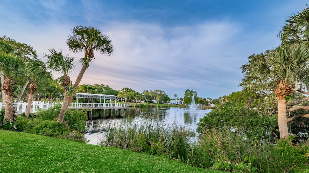 Photo of Outdoor in Old Grove