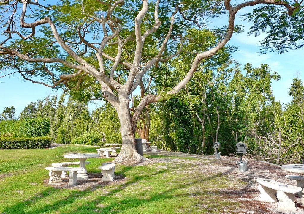 Photo of Outdoor in Marco Island