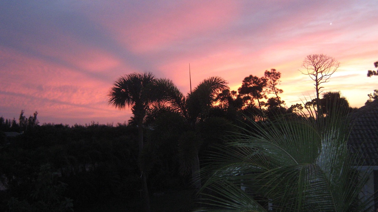 Photo of Outdoor in Alden Pines