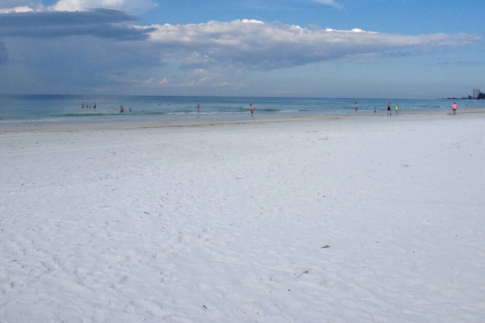 Photo of Others in Siesta Key