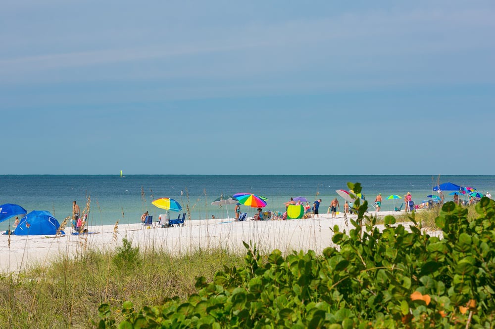 Photo of Others in Siesta Key