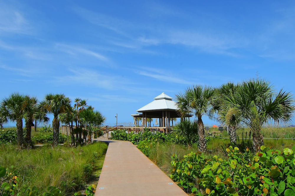 Photo of Outdoor in Siesta Key