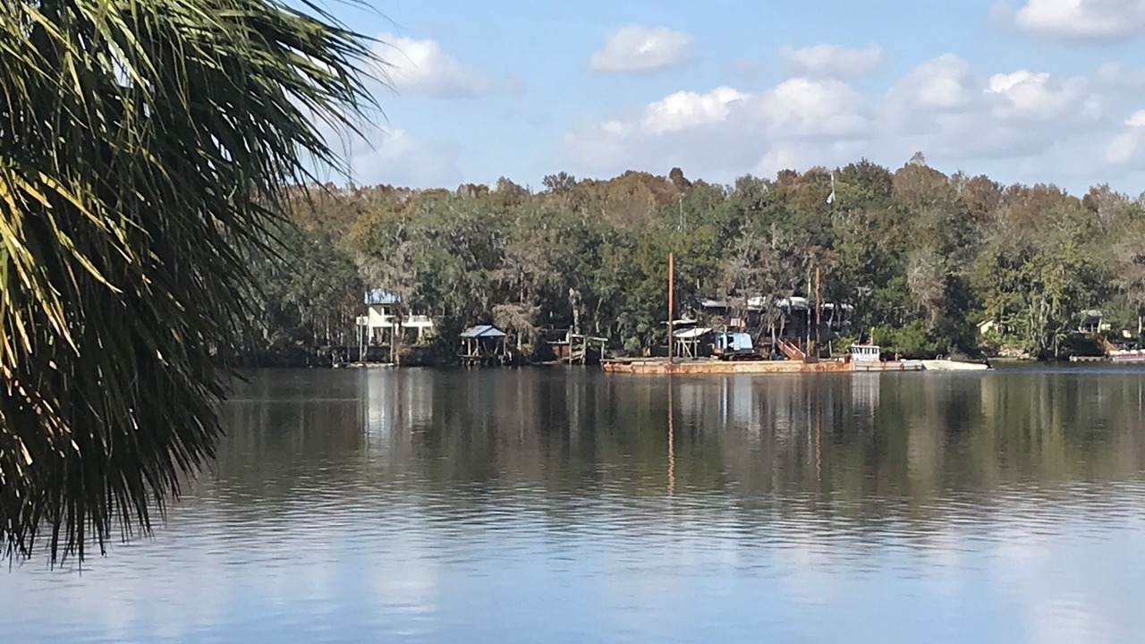 Photo of Outdoor in Chiefland