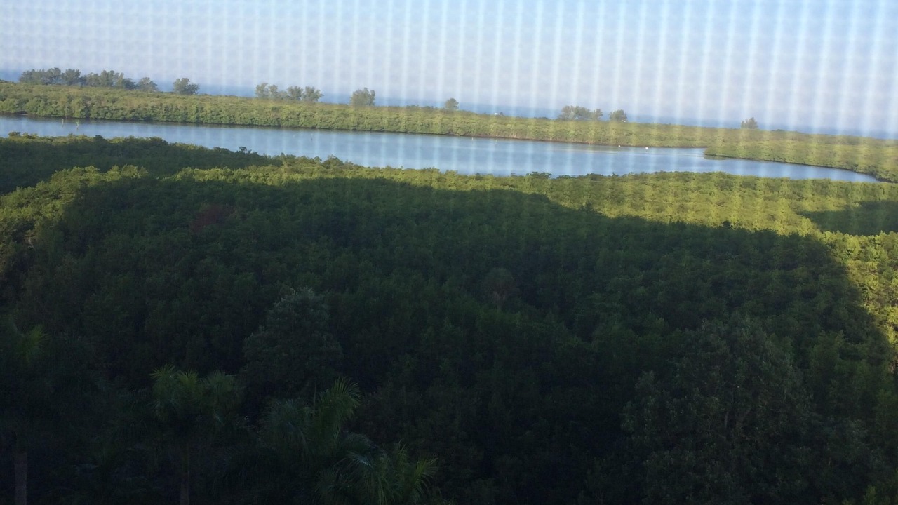 Photo of Outdoor in Vanderbilt Beach