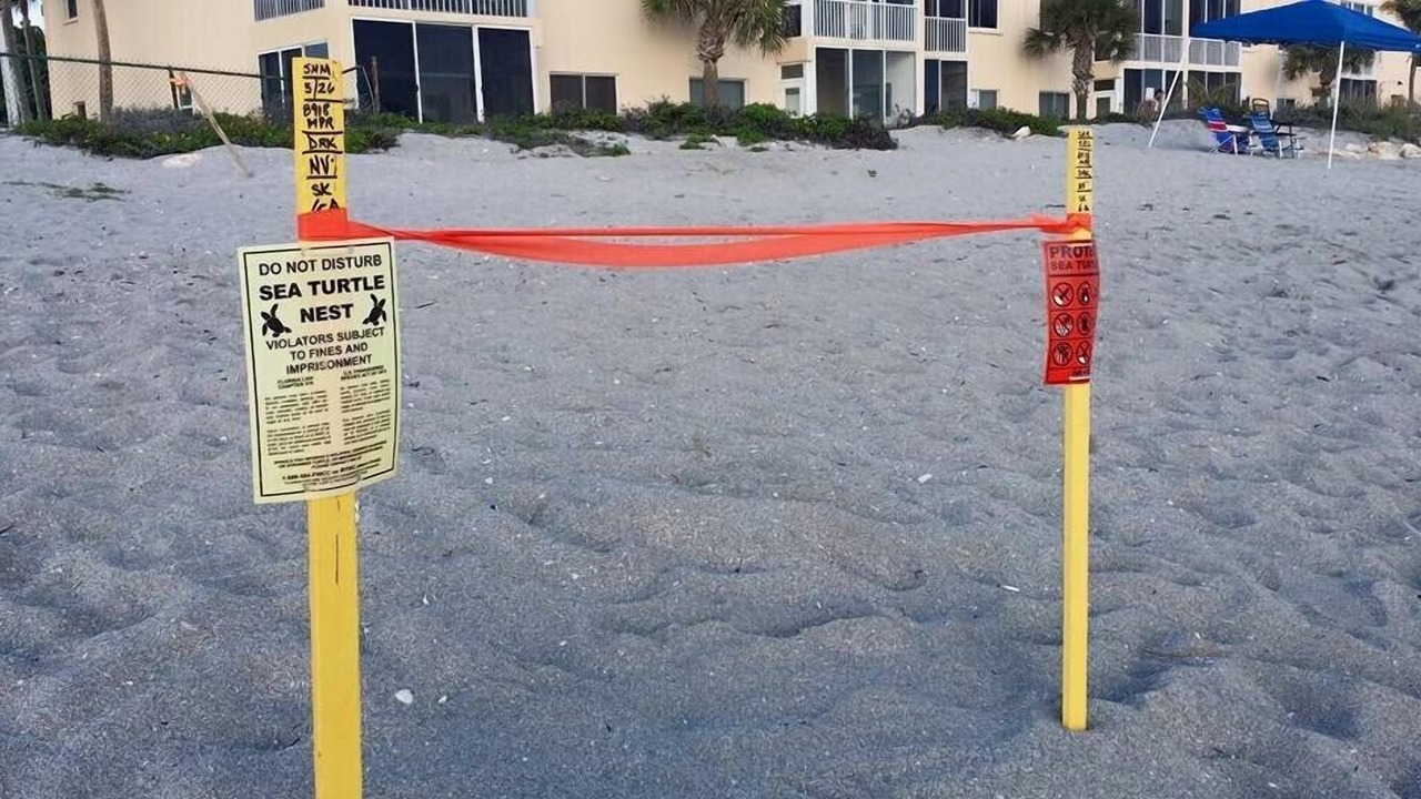 Photo of Outdoor in Siesta Key