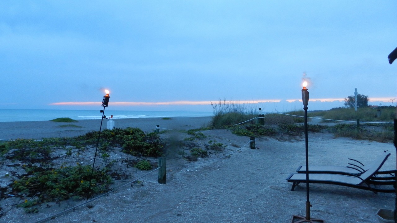 Photo of Outdoor in Siesta Key
