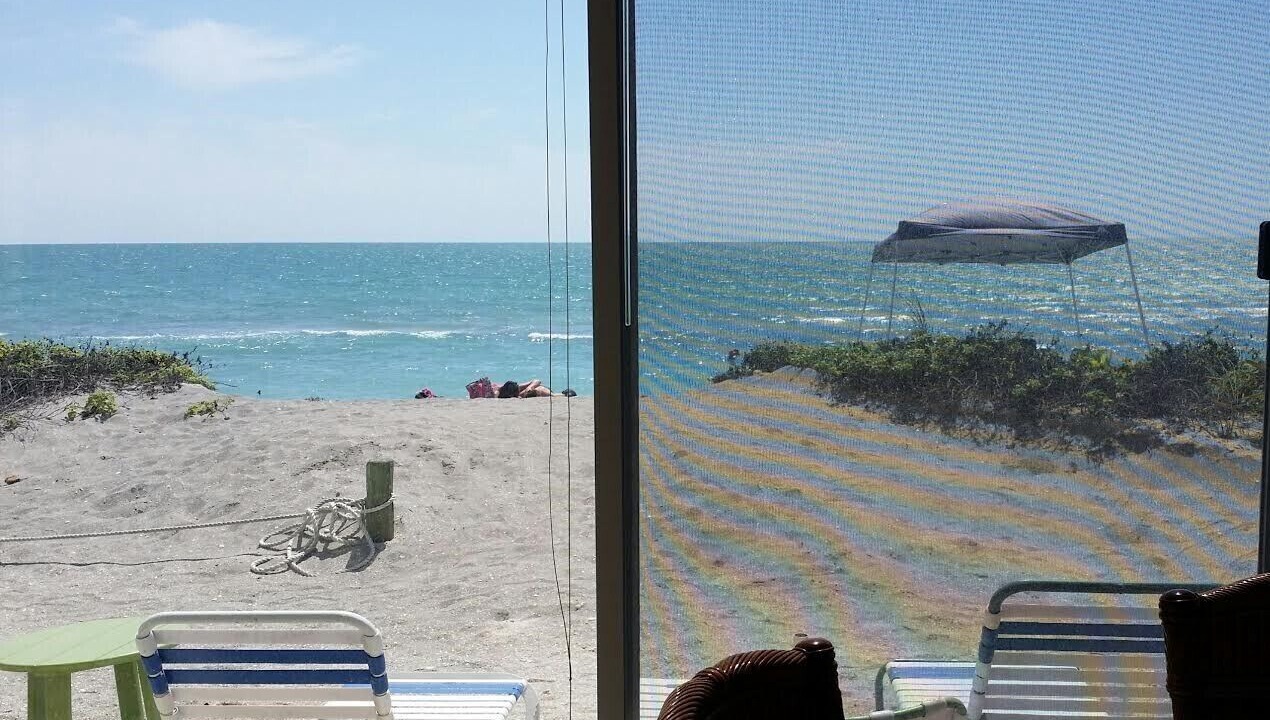 Photo of Outdoor in Siesta Key
