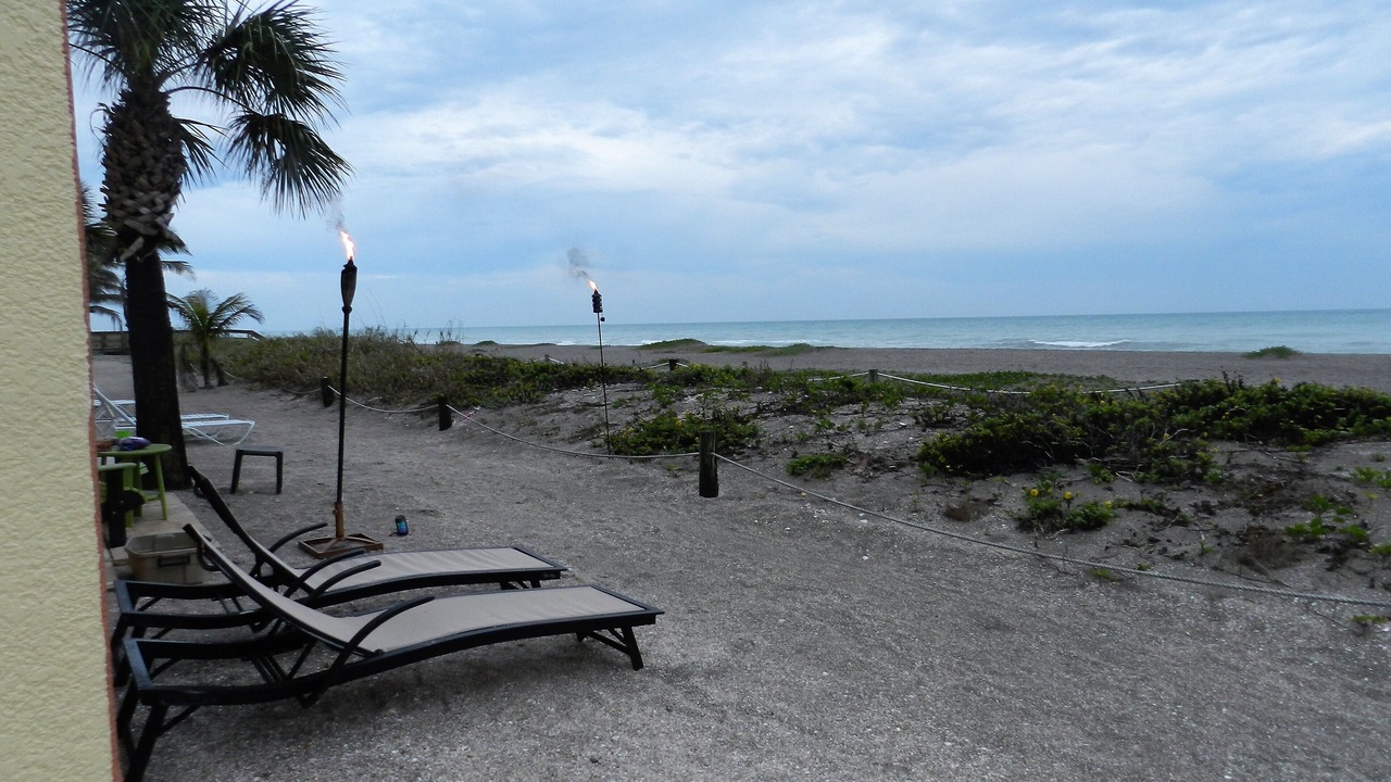 Photo of Outdoor in Siesta Key