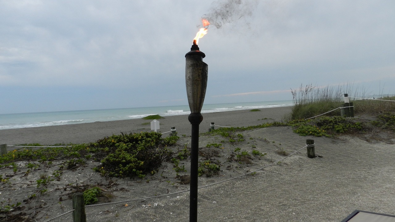 Photo of Others in Siesta Key
