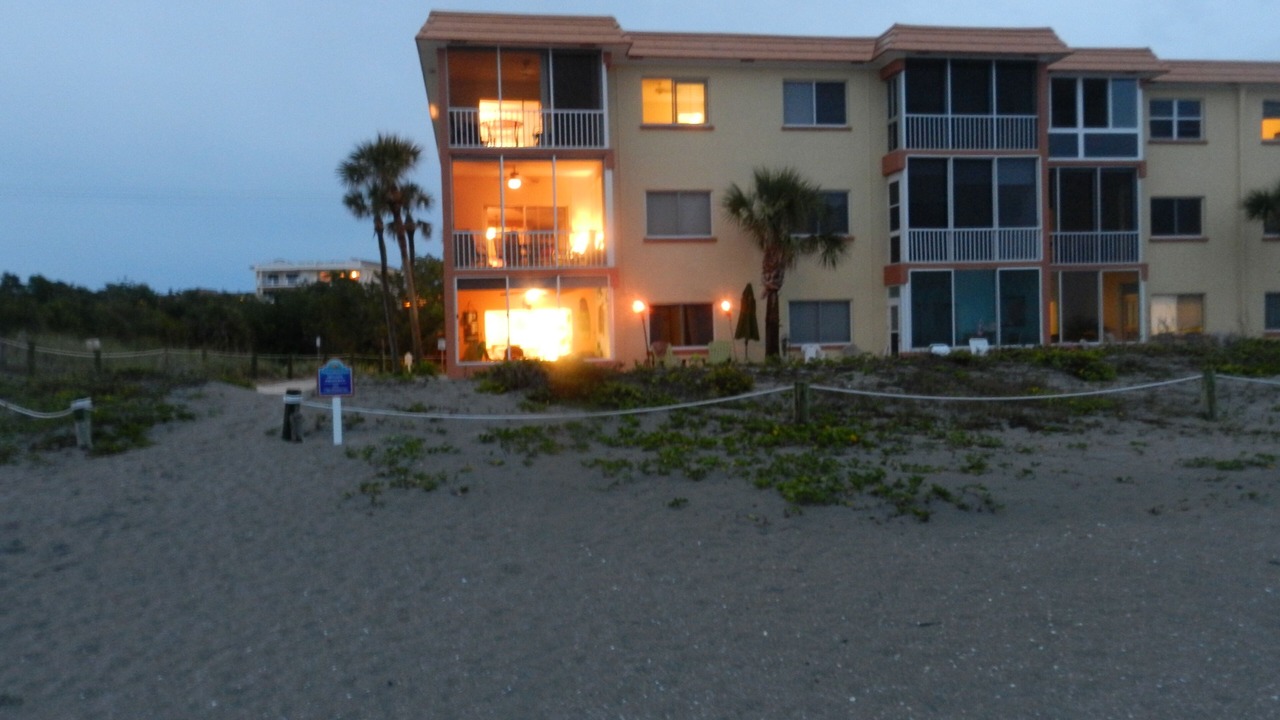 Photo of Outdoor in Siesta Key