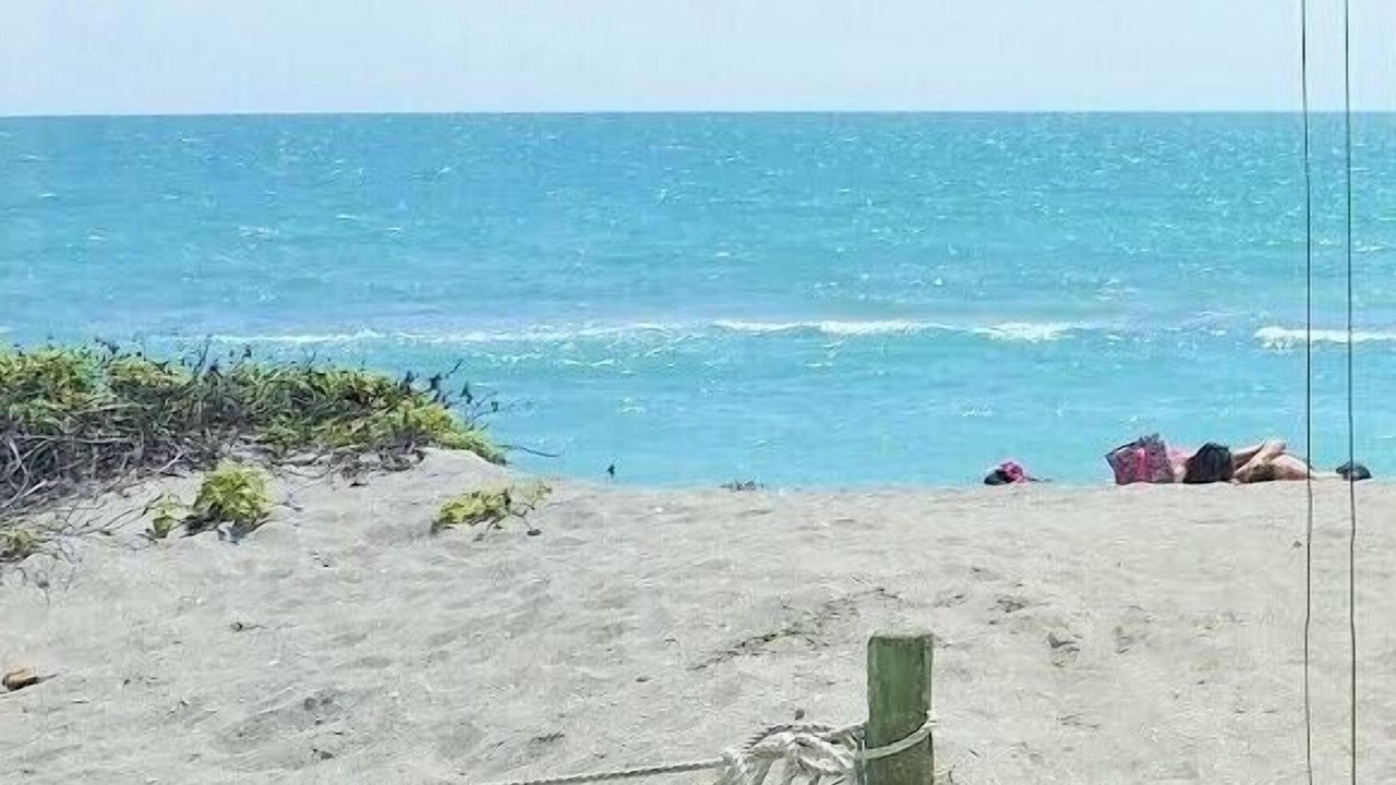 Photo of Others in Siesta Key