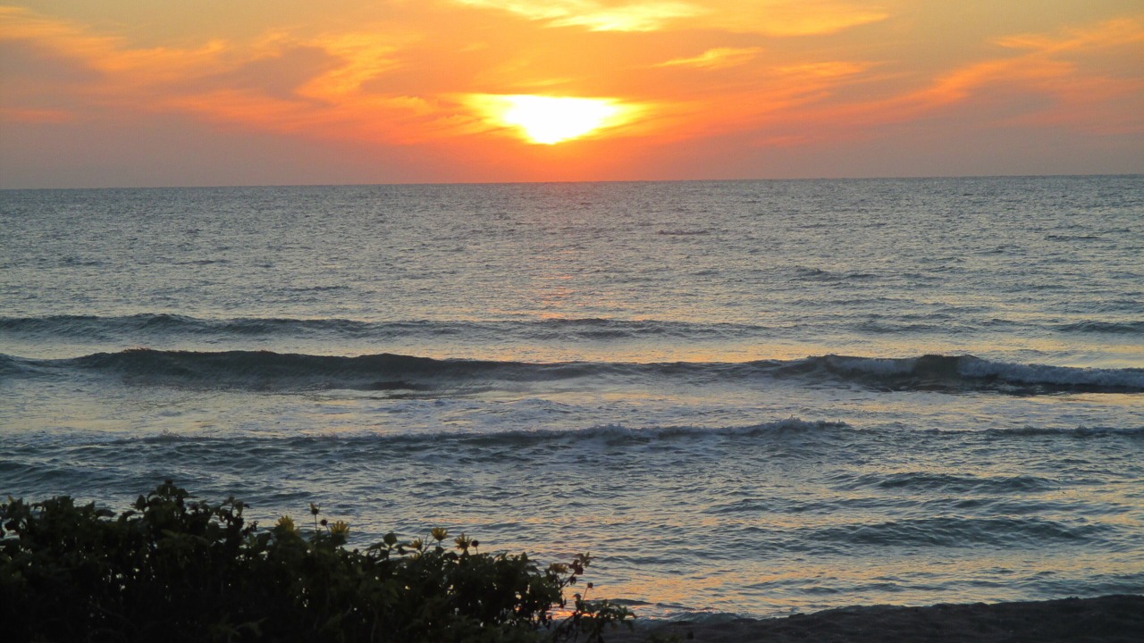 Photo of Others in Siesta Key