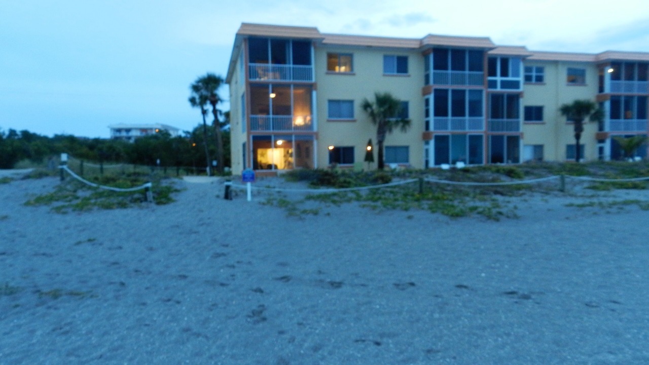 Photo of Outdoor in Siesta Key