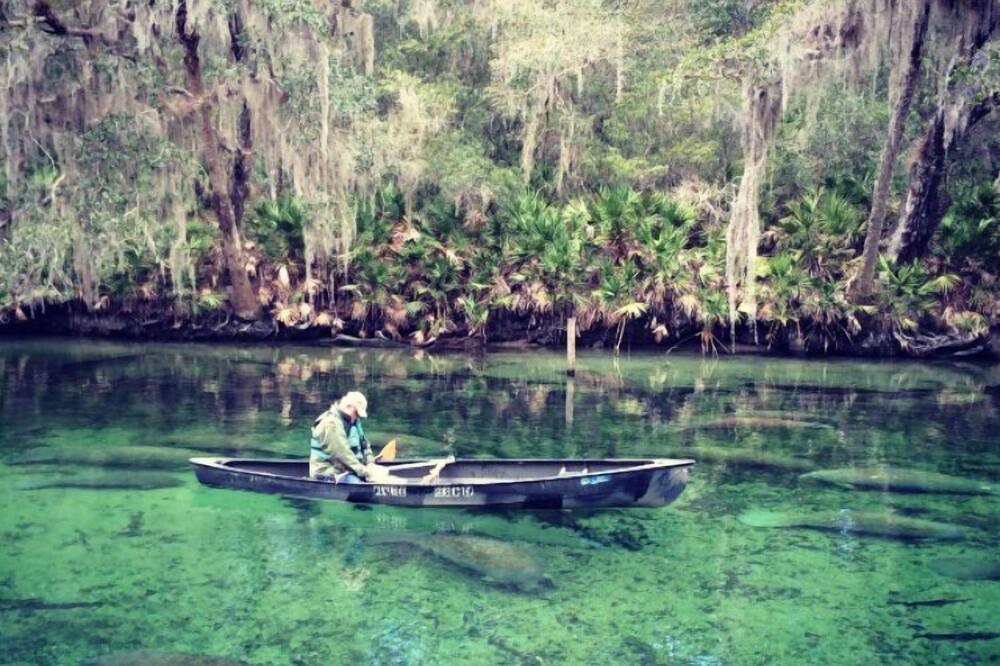 Photo of Others in Spring Hill