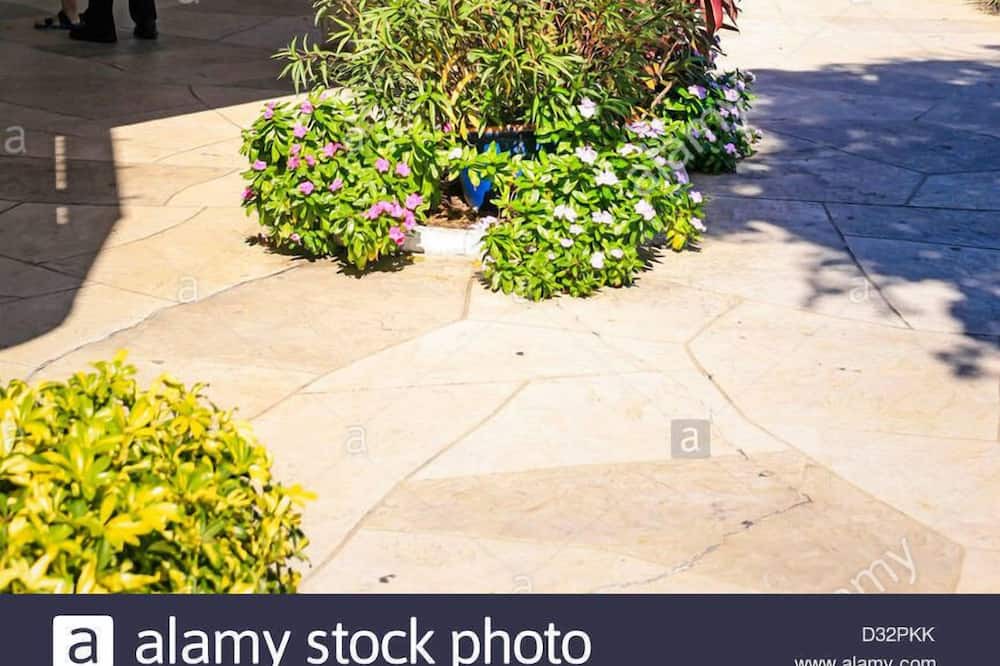 Photo of Outdoor in Bay Isle