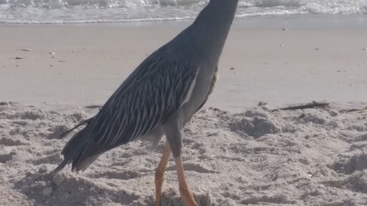 Photo of Others in Nokomis