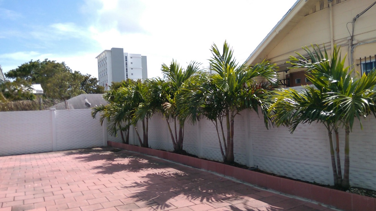 Photo of Outdoor in Overtown