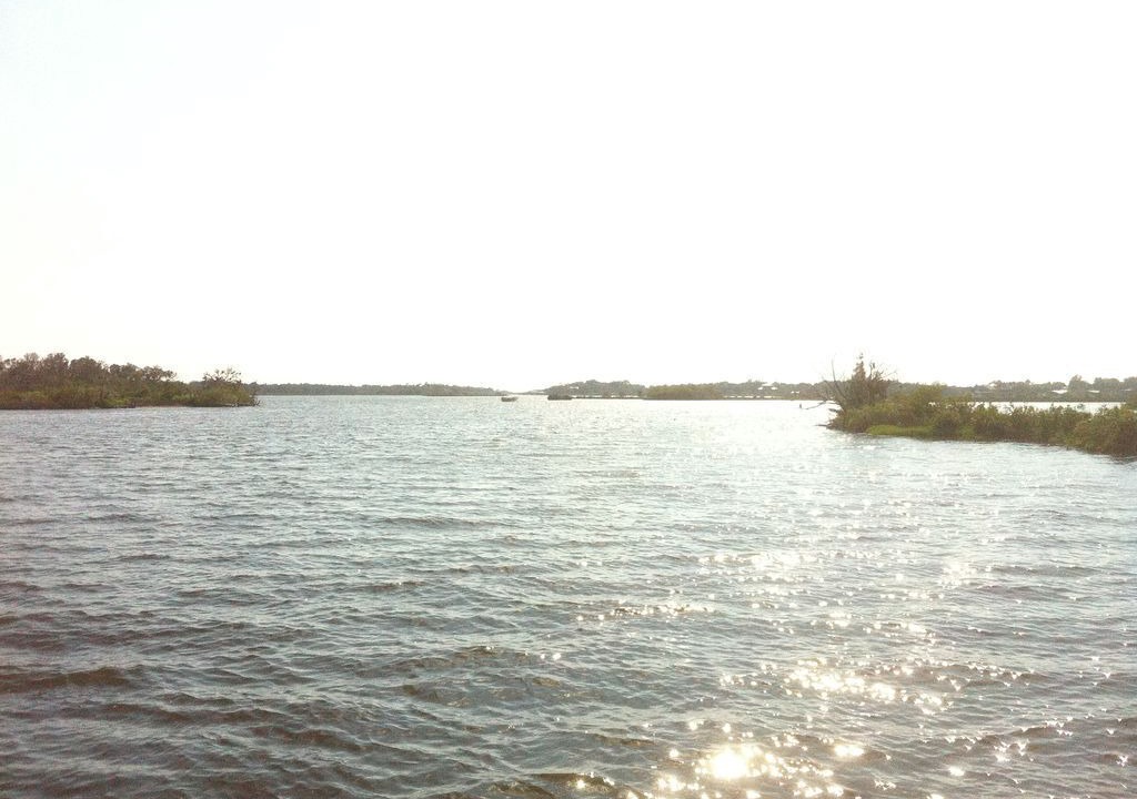 Photo of Others in Crystal River