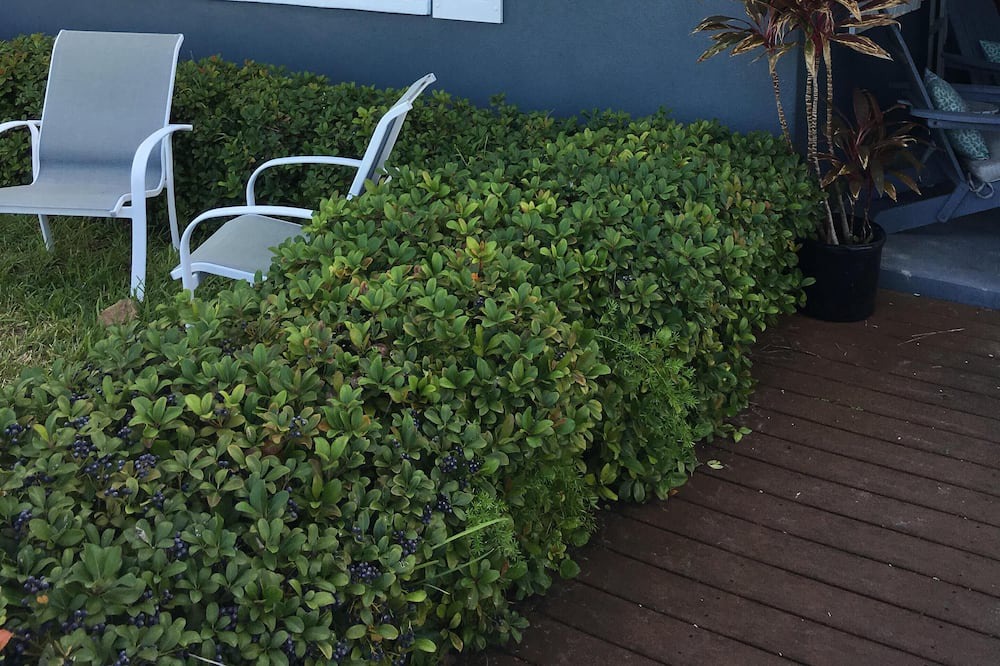 Photo of Outdoor in Pass-a-Grille