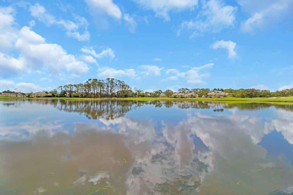 Photo of Others in Sawgrass