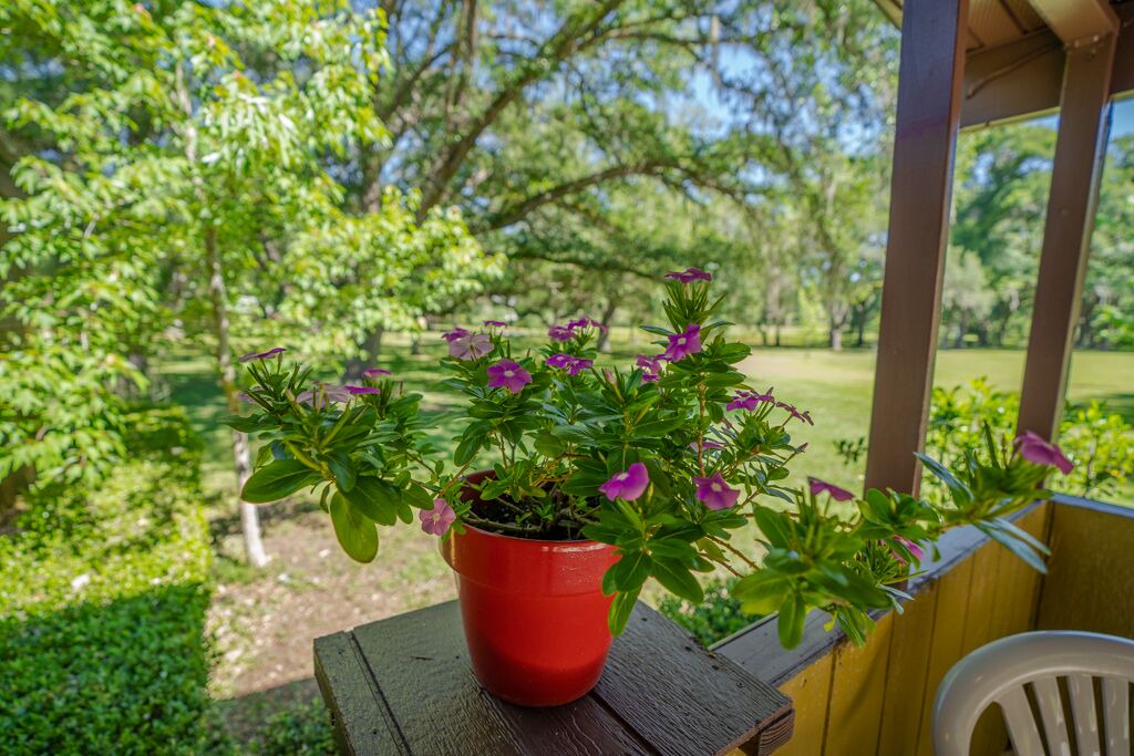 Photo of Outdoor in Brooksville